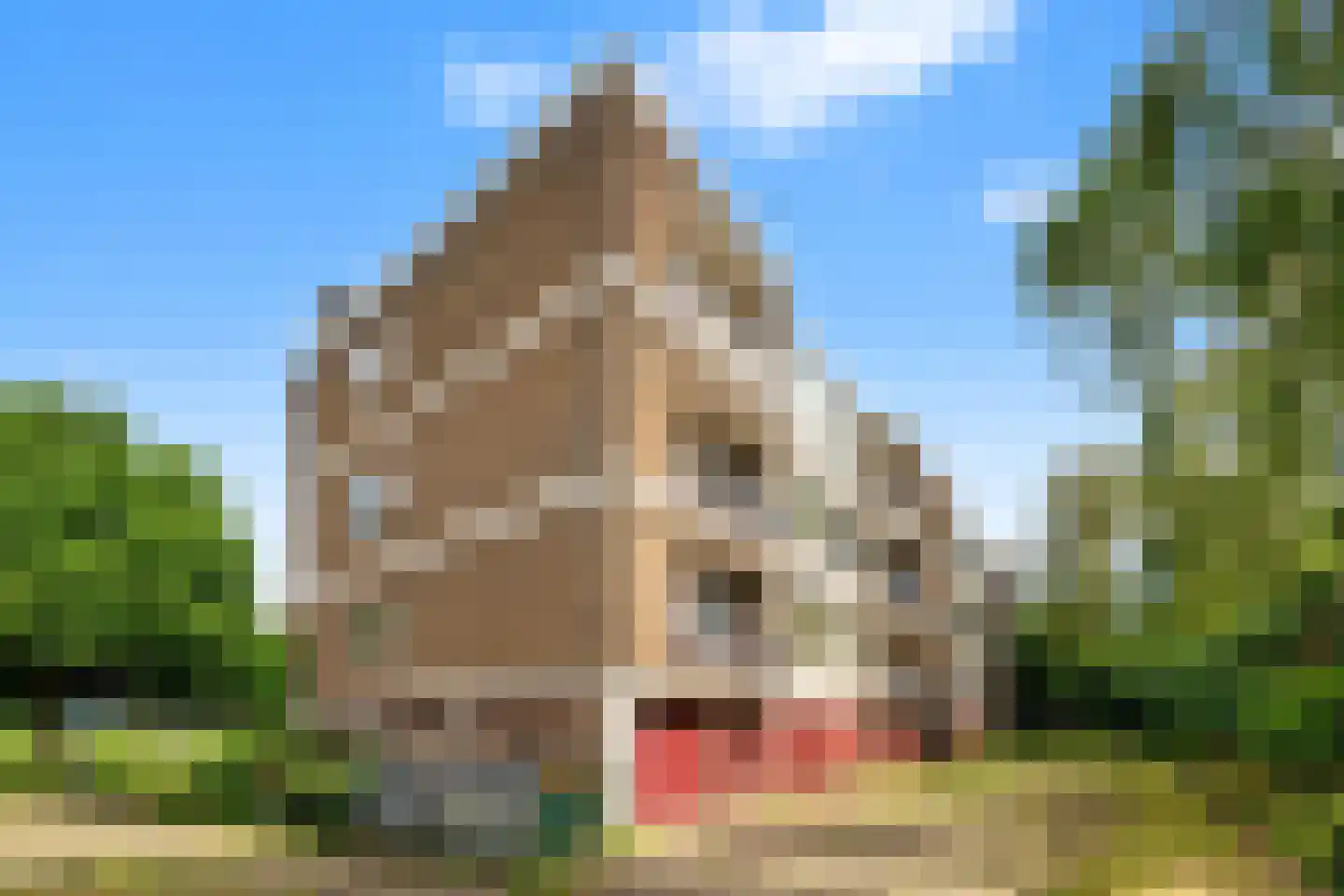 Sprengerlaan 3 II Wageningen thumbnail 24
