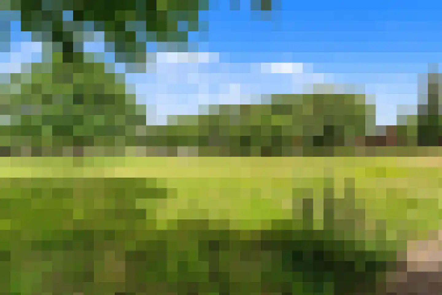 Sprengerlaan 3 II Wageningen thumbnail 9