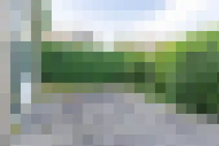 Sprengerstraat 18 Boskoop thumbnail 10