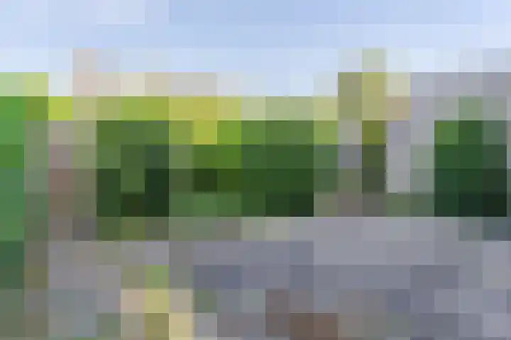 Sprengerstraat 18 Boskoop thumbnail 11