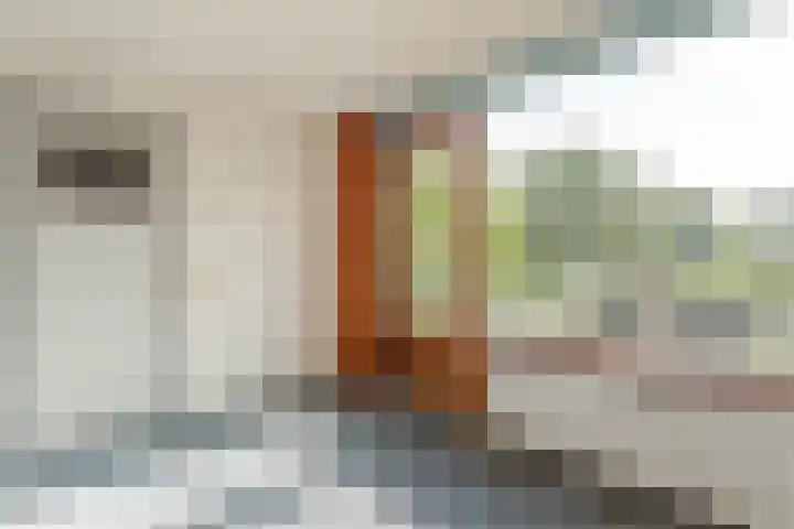 Sprengerstraat 18 Boskoop thumbnail 15