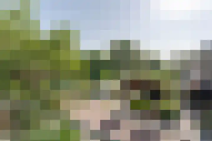 Sprengerstraat 18 Boskoop thumbnail 16