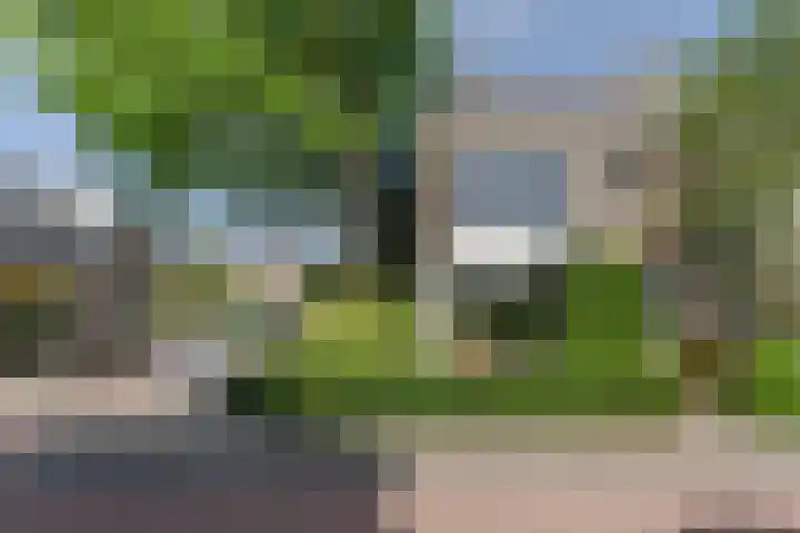 Sprengerstraat 18 Boskoop thumbnail 4