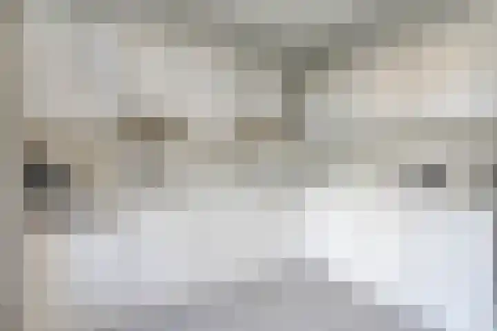Sprengerstraat 18 Boskoop thumbnail 9