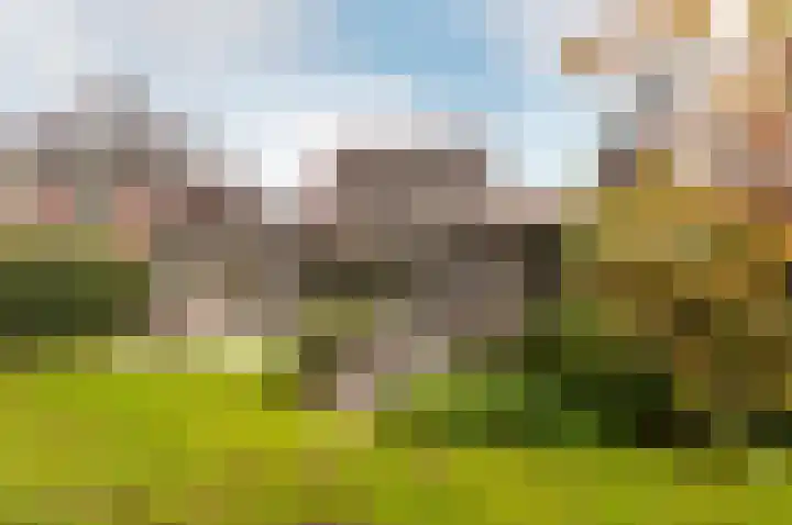 Sprenglaar 108 Almere thumbnail 4