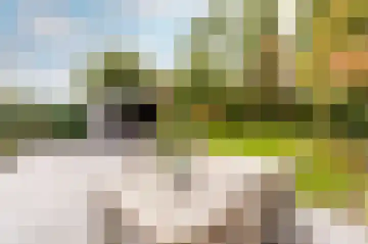 Sprenglaar 108 Almere thumbnail 40