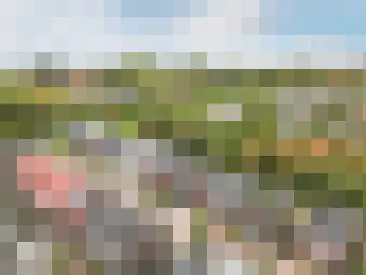 Sprenglaar 108 Almere thumbnail 48