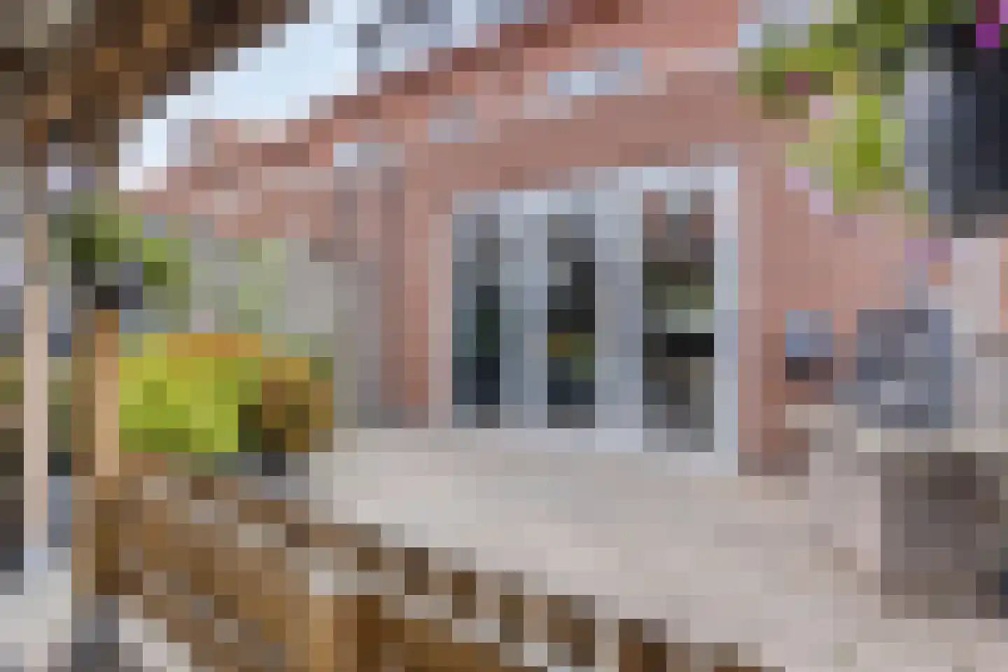 Sprenglaar 134 Almere thumbnail 25
