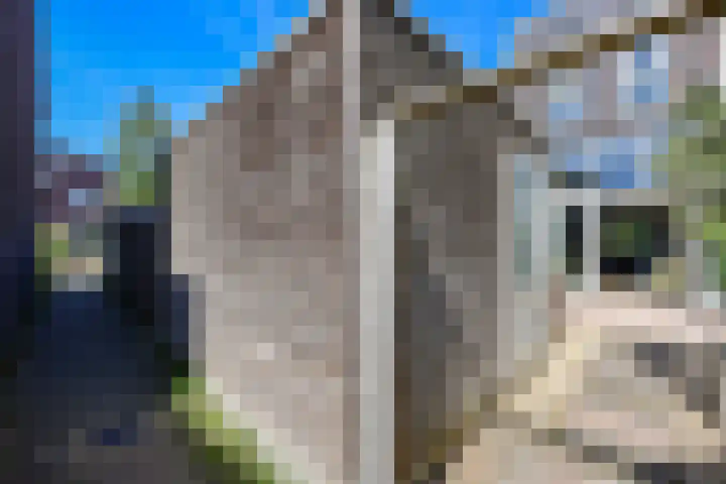 Sprenglaar 146 Almere thumbnail 35