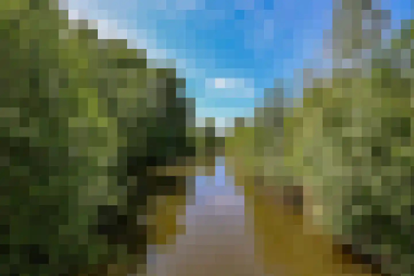 Sprenglaar 146 Almere thumbnail 41