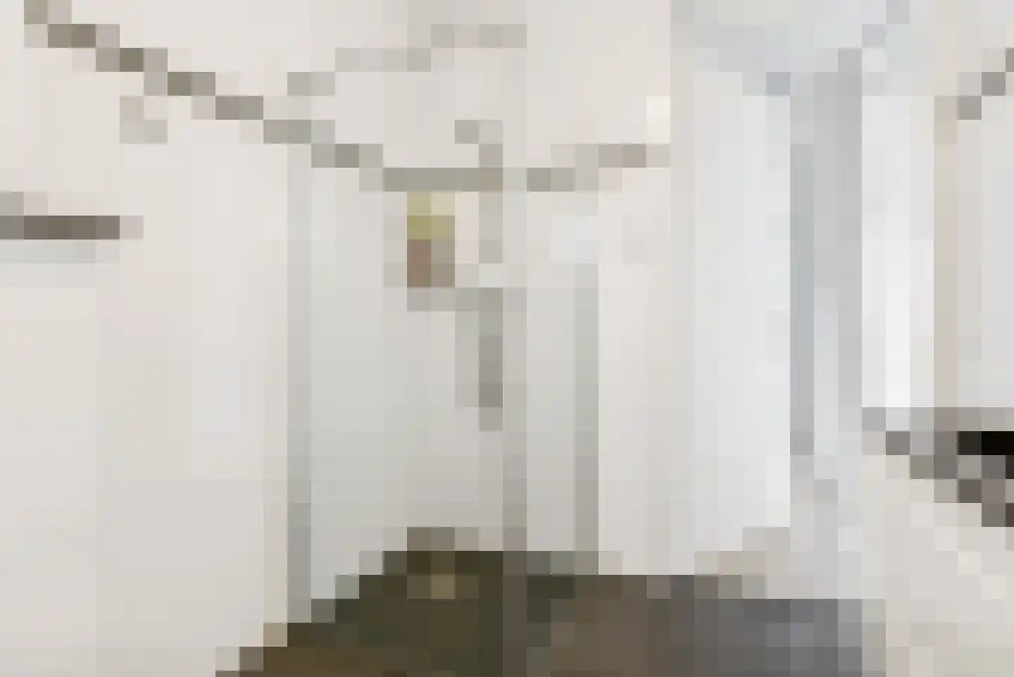 Sprenglaar 164 Almere thumbnail 22