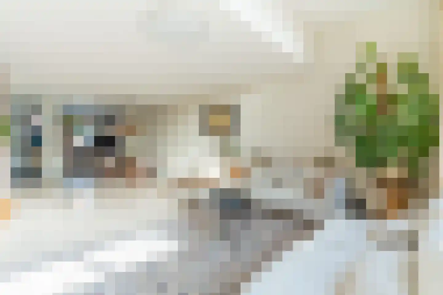 Sprengpad 2 Zwolle thumbnail 12