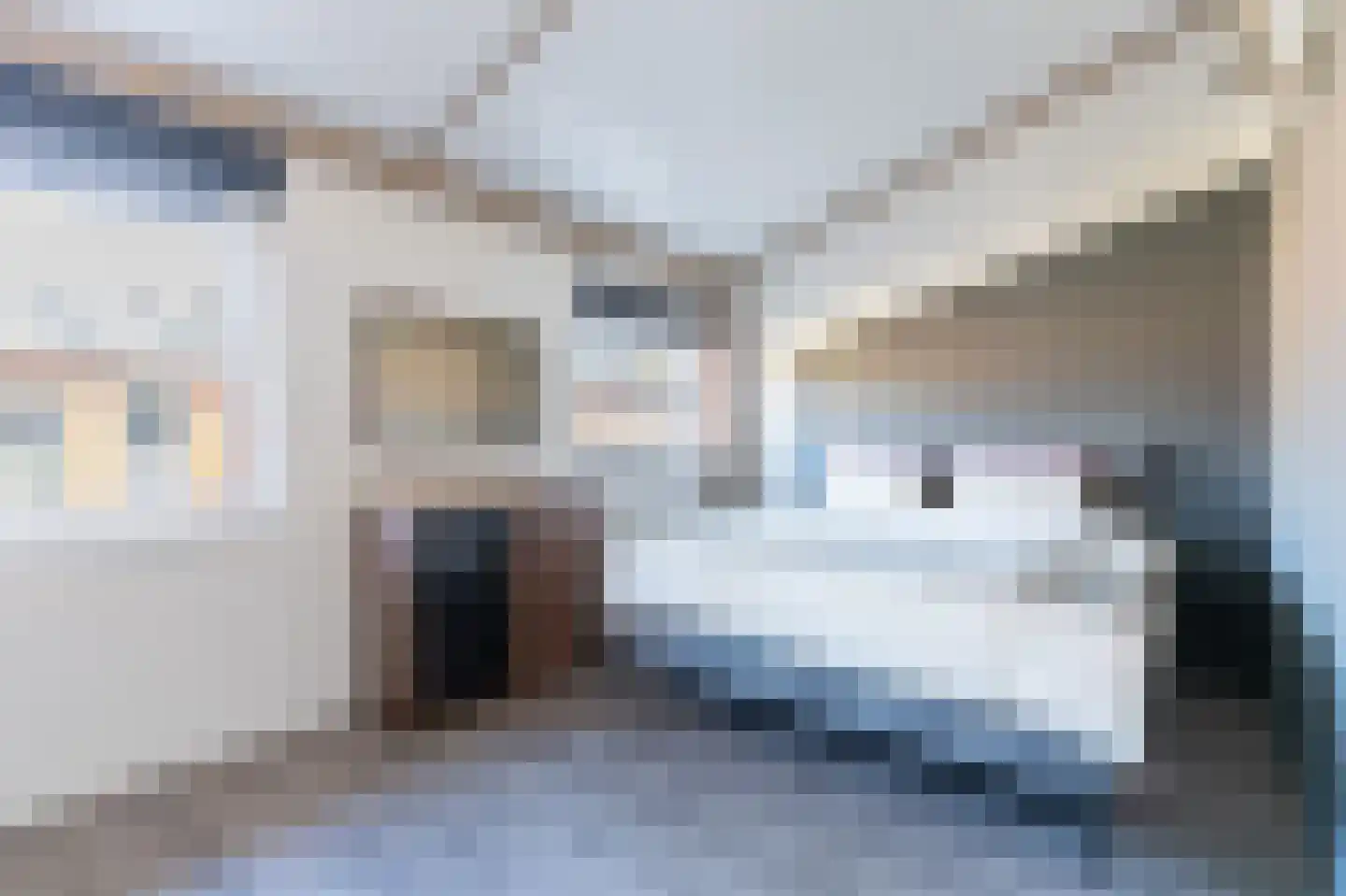 Sprengpad 2 Zwolle thumbnail 24