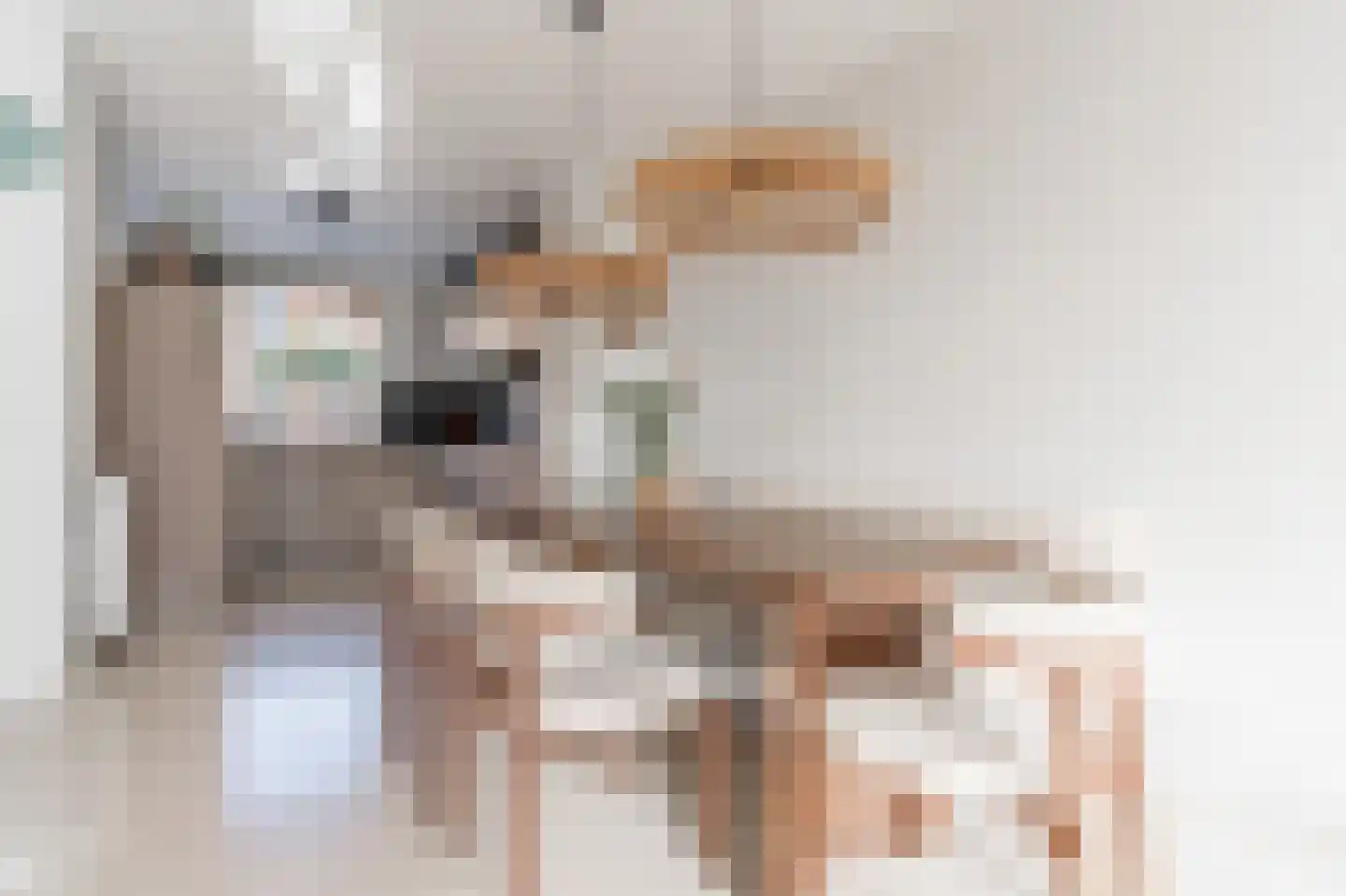 Sprengpad 2 Zwolle thumbnail 5