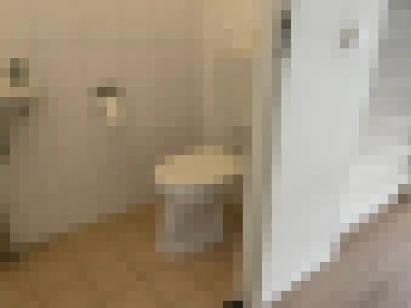 Sprengpad 20 Zwolle thumbnail 8