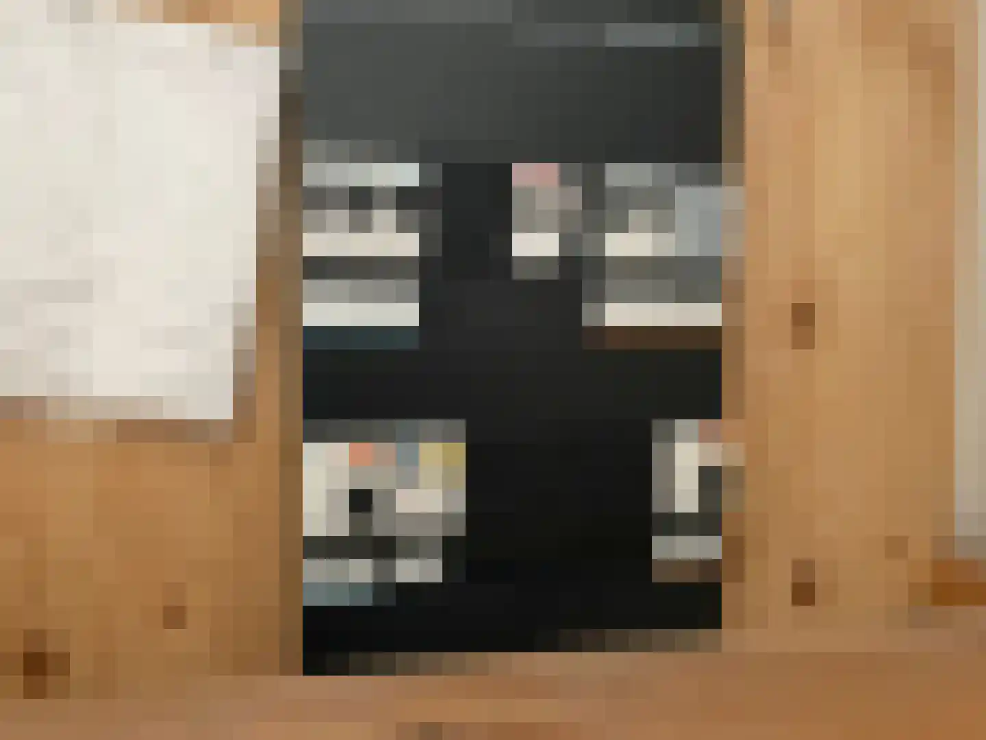 Sprengpad 35 Zwolle thumbnail 12