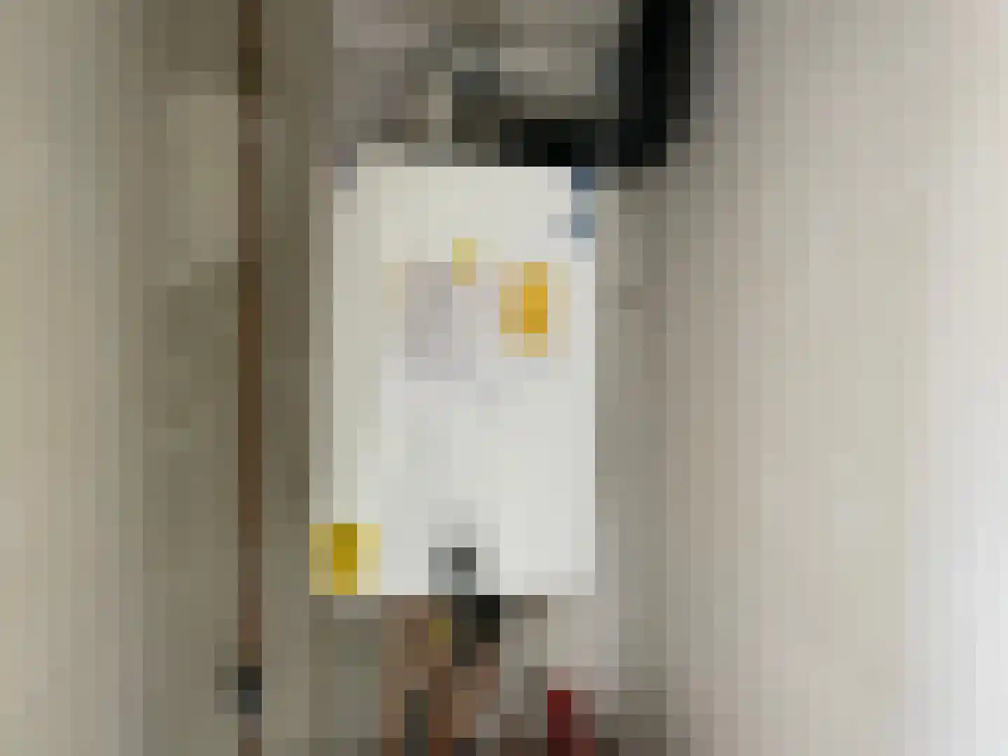 Sprengpad 35 Zwolle thumbnail 16