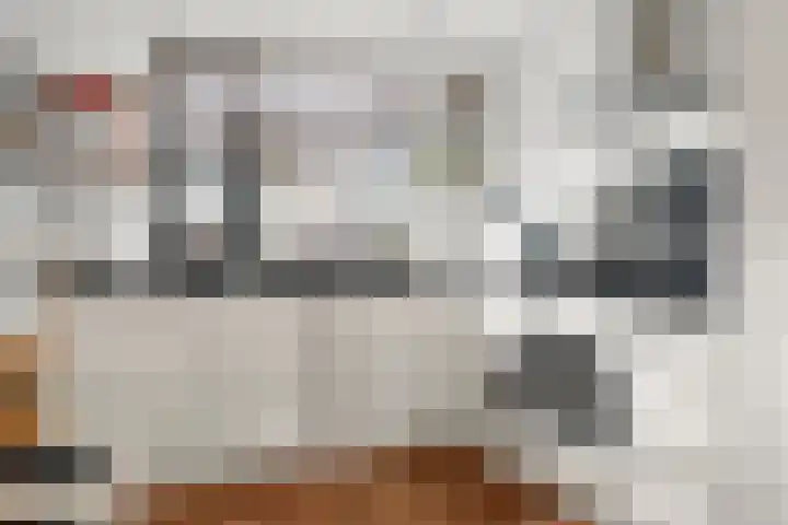 Sprenkelaar 2 Veenendaal thumbnail 10
