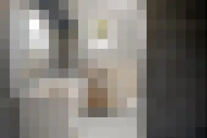 Sprenkelaar 2 Veenendaal thumbnail 18