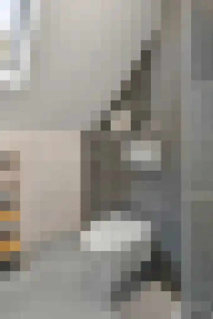 Sprenkelaar 2 Veenendaal thumbnail 19
