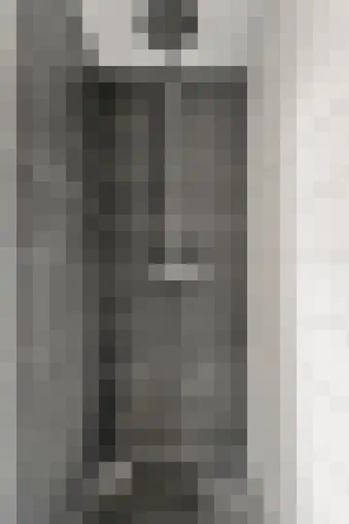 Sprenkelaar 2 Veenendaal thumbnail 20