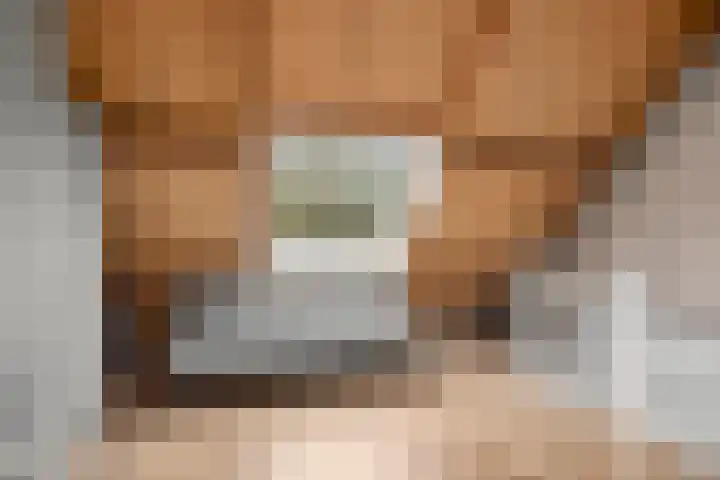 Sprenkelaar 2 Veenendaal thumbnail 21