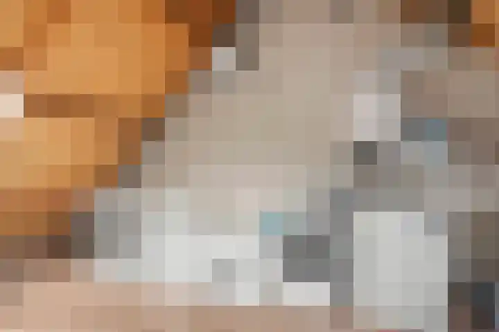 Sprenkelaar 2 Veenendaal thumbnail 22
