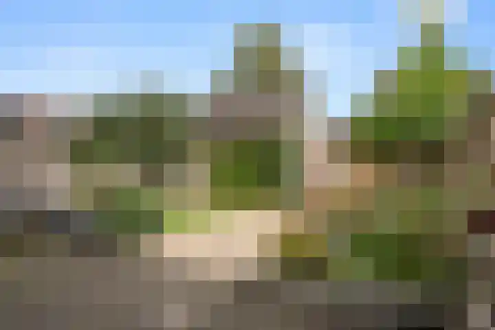 Sprenkelaar 2 Veenendaal thumbnail 23
