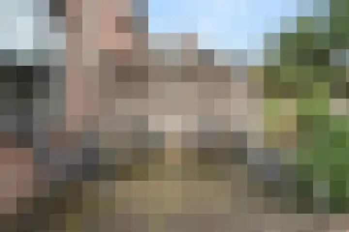 Sprenkelaar 2 Veenendaal thumbnail 24