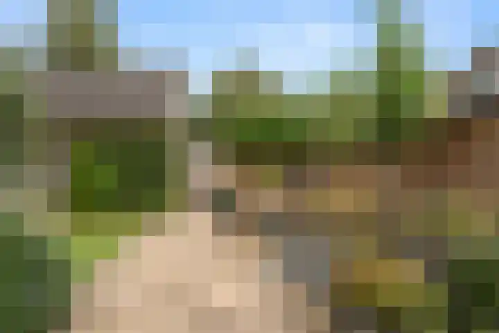 Sprenkelaar 2 Veenendaal thumbnail 25