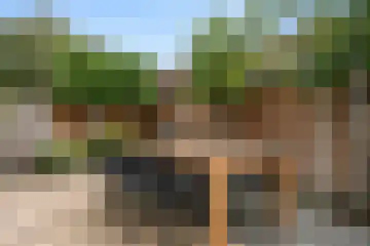 Sprenkelaar 2 Veenendaal thumbnail 26