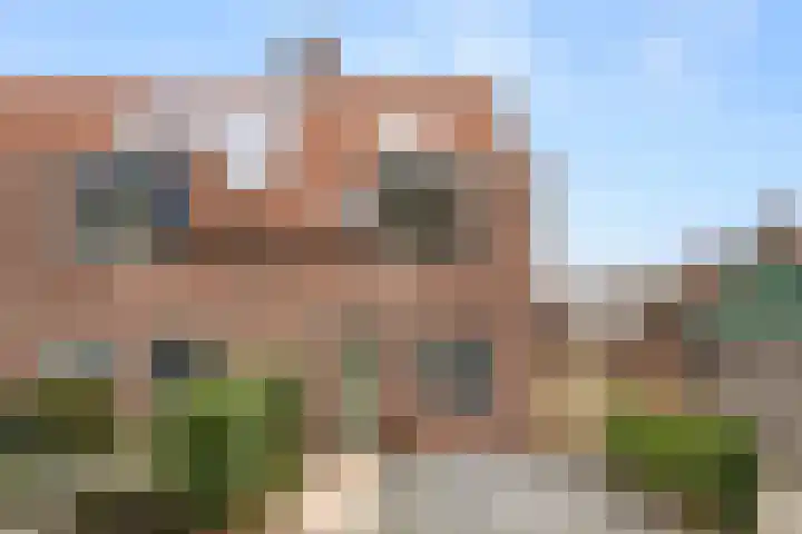 Sprenkelaar 2 Veenendaal thumbnail 27
