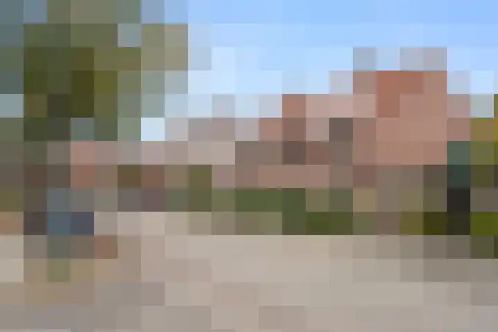 Sprenkelaar 2 Veenendaal thumbnail 28
