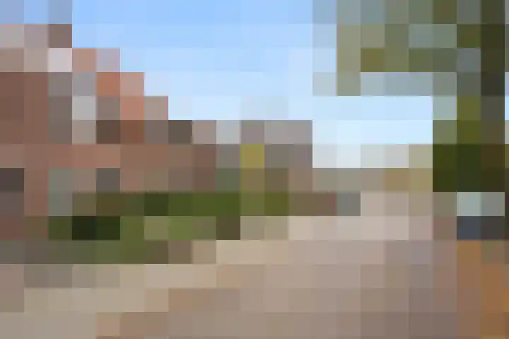 Sprenkelaar 2 Veenendaal thumbnail 29