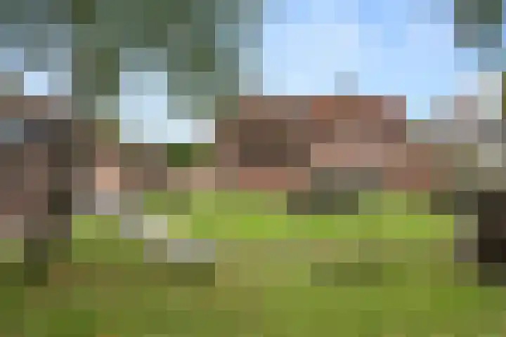 Sprenkelaar 2 Veenendaal thumbnail 30