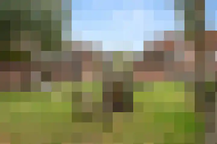 Sprenkelaar 2 Veenendaal thumbnail 31