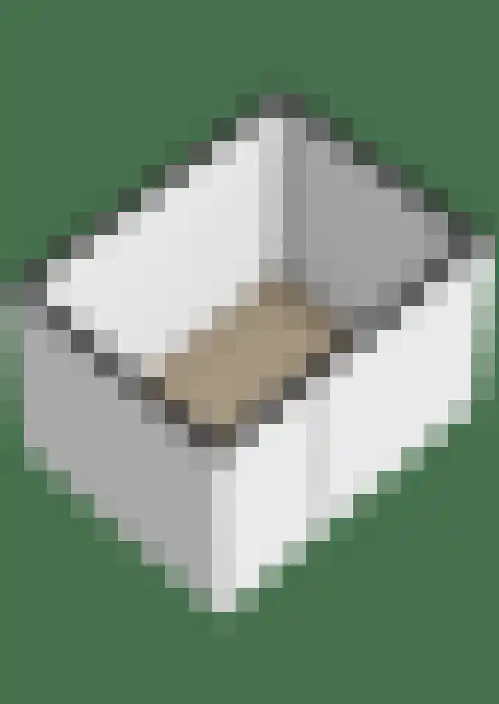 Sprenkelaar 2 Veenendaal thumbnail 39