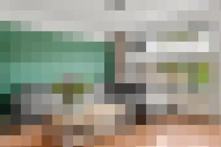 Sprenkelaar 2 Veenendaal thumbnail 5
