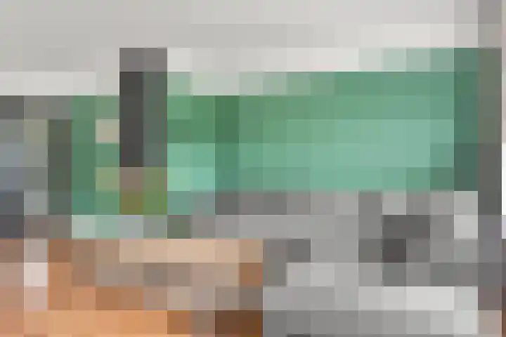 Sprenkelaar 2 Veenendaal thumbnail 6