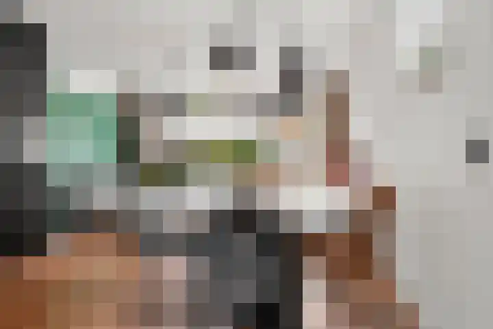 Sprenkelaar 2 Veenendaal thumbnail 7