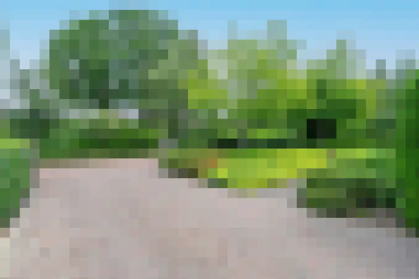 Sprielderhout 6 Putten thumbnail 5