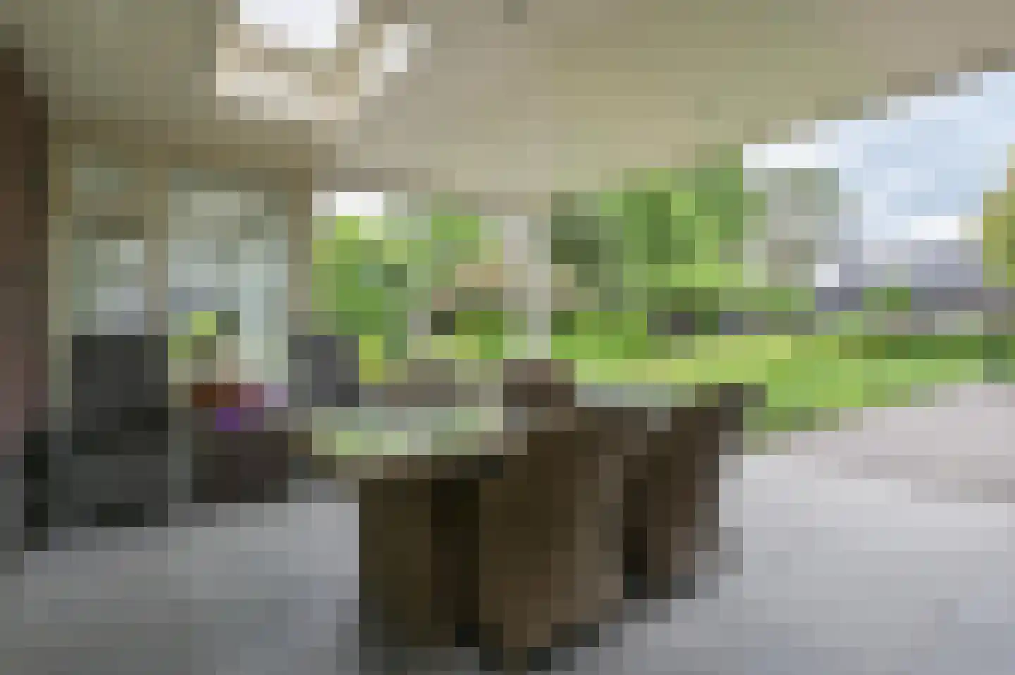 Sprielderhout 6 Putten thumbnail 53
