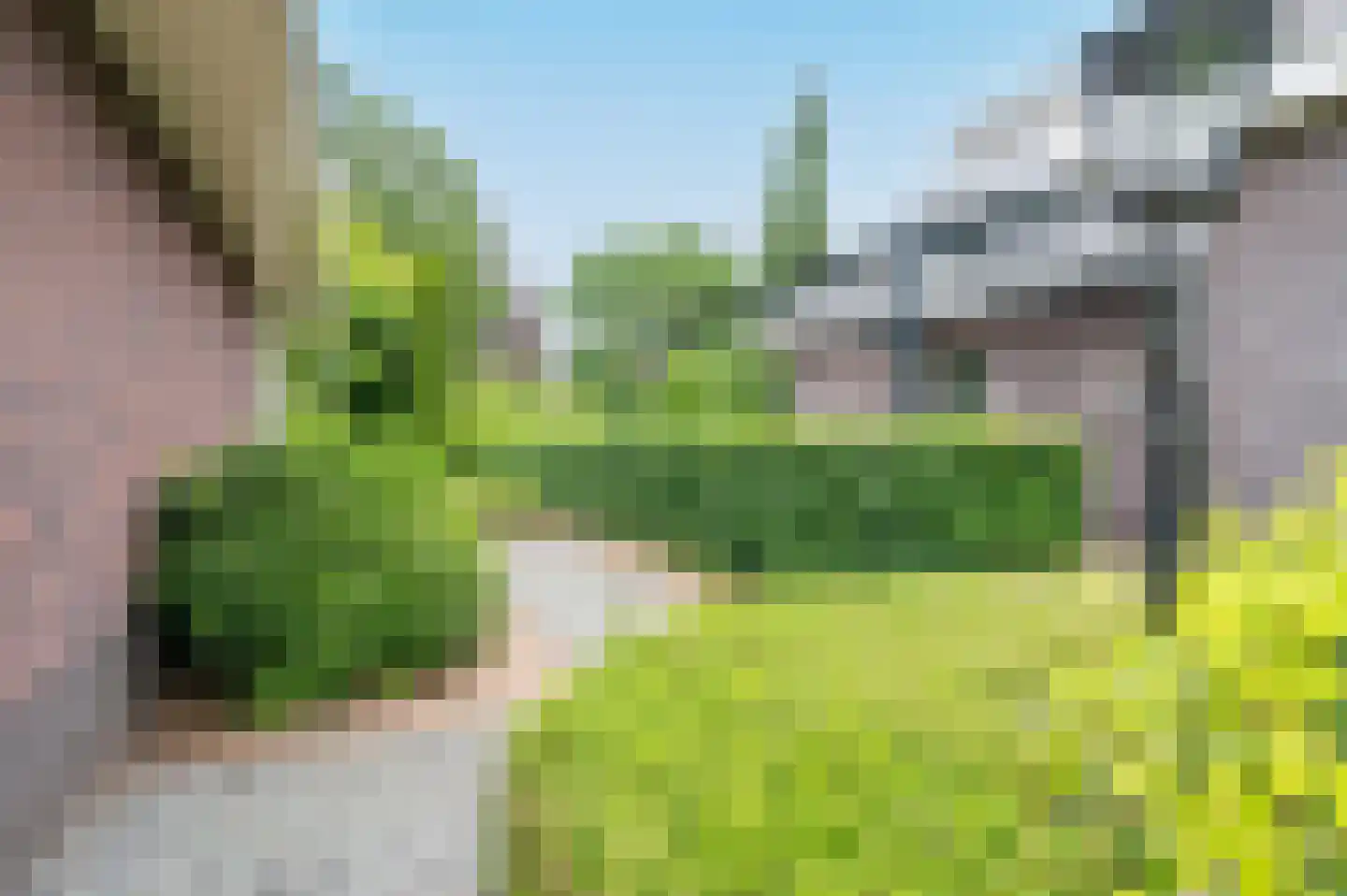 Sprielderhout 6 Putten thumbnail 56
