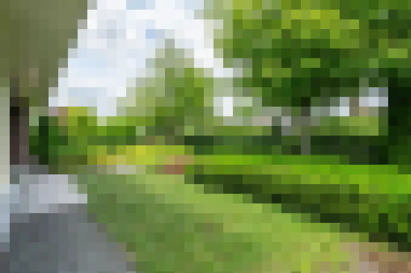 Sprielderhout 6 Putten thumbnail 6