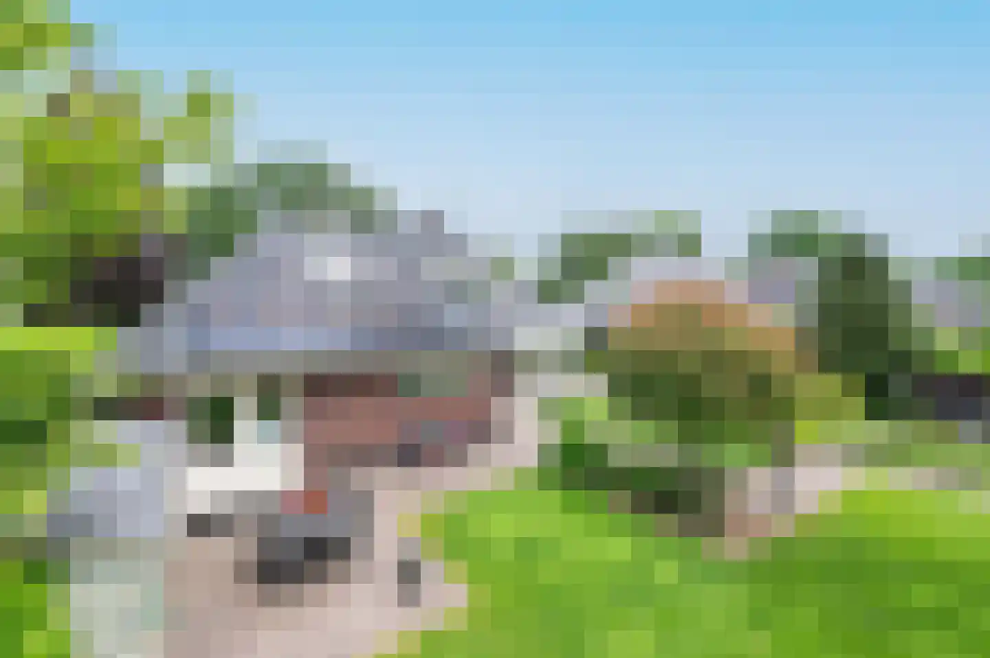Sprielderhout 6 Putten thumbnail 63