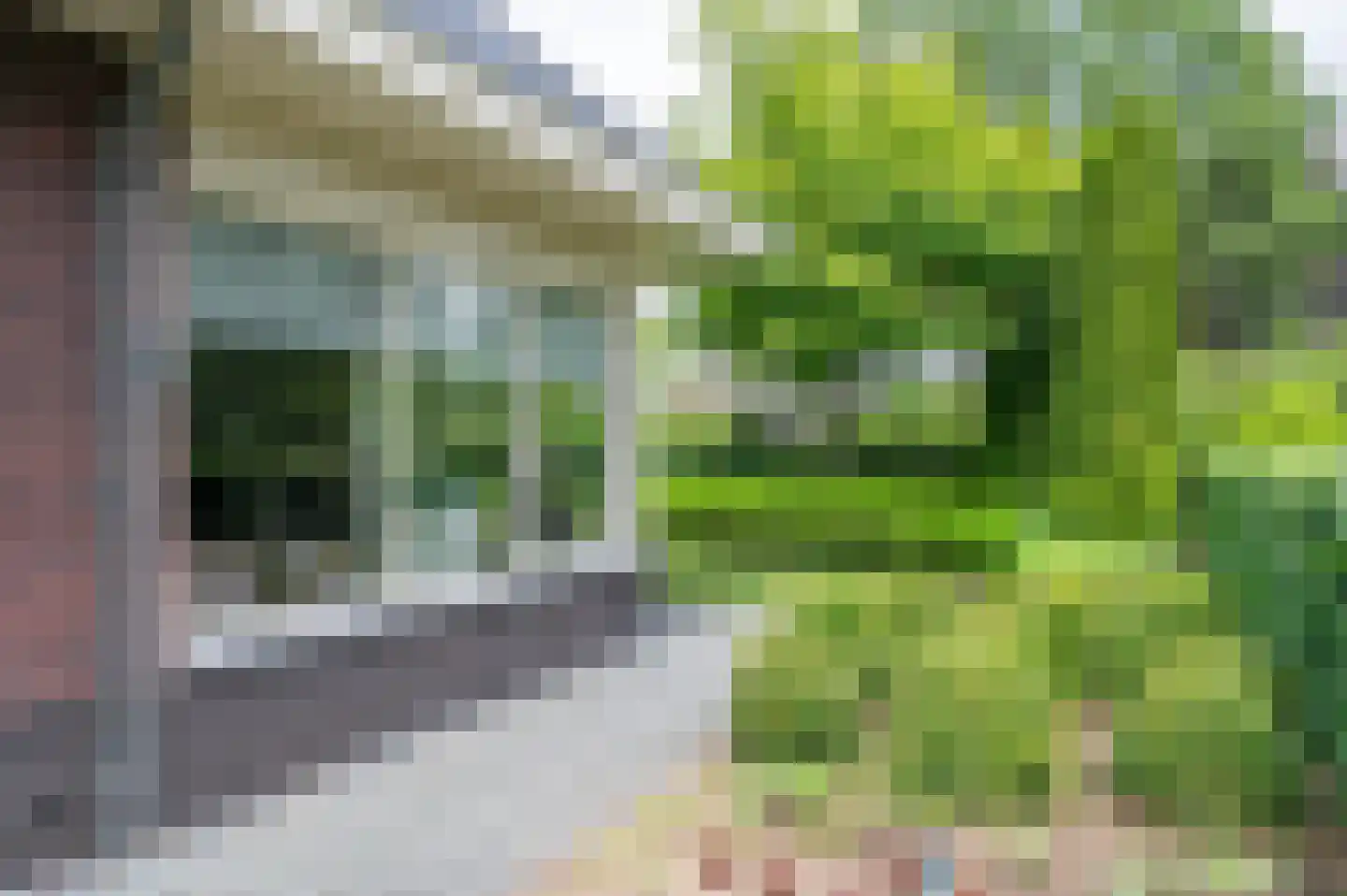 Sprielderhout 6 Putten thumbnail 67