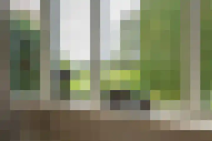 Sprielderweg 27 Putten thumbnail 18