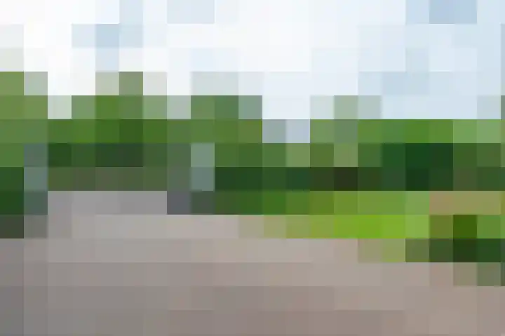 Sprielderweg 27 Putten thumbnail 6