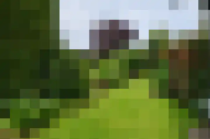 Sprielderweg 27 Putten thumbnail 61