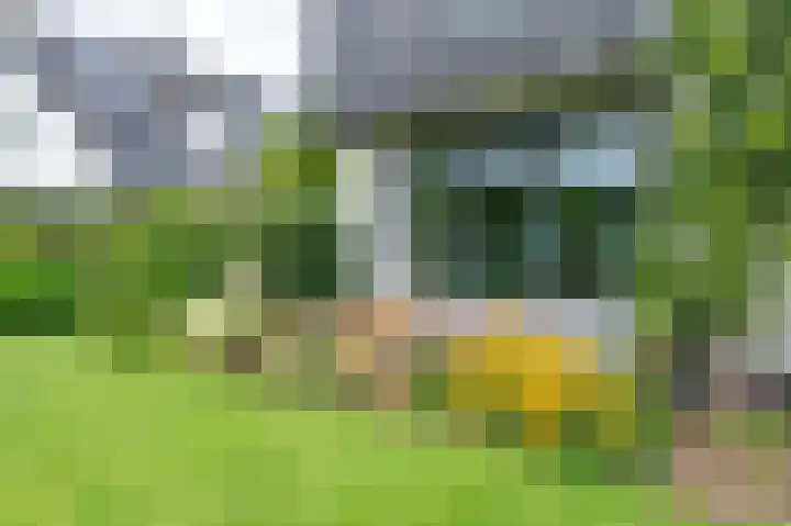 Sprielderweg 27 Putten thumbnail 64